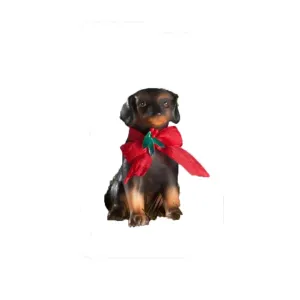 Bethany Lowe Furry Friend Shepherd Puppy Dog 3.75" Christmas Tree Ornament