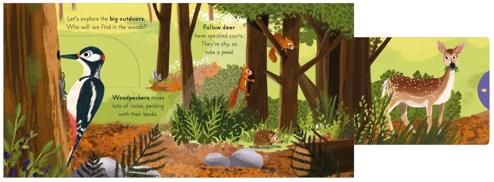 Big Outdoors for Little Explorers: Woods