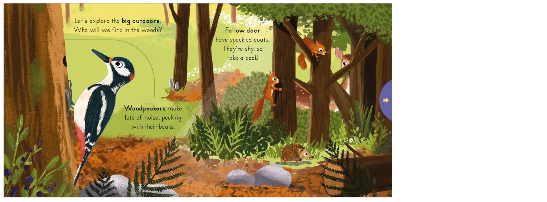 Big Outdoors for Little Explorers: Woods