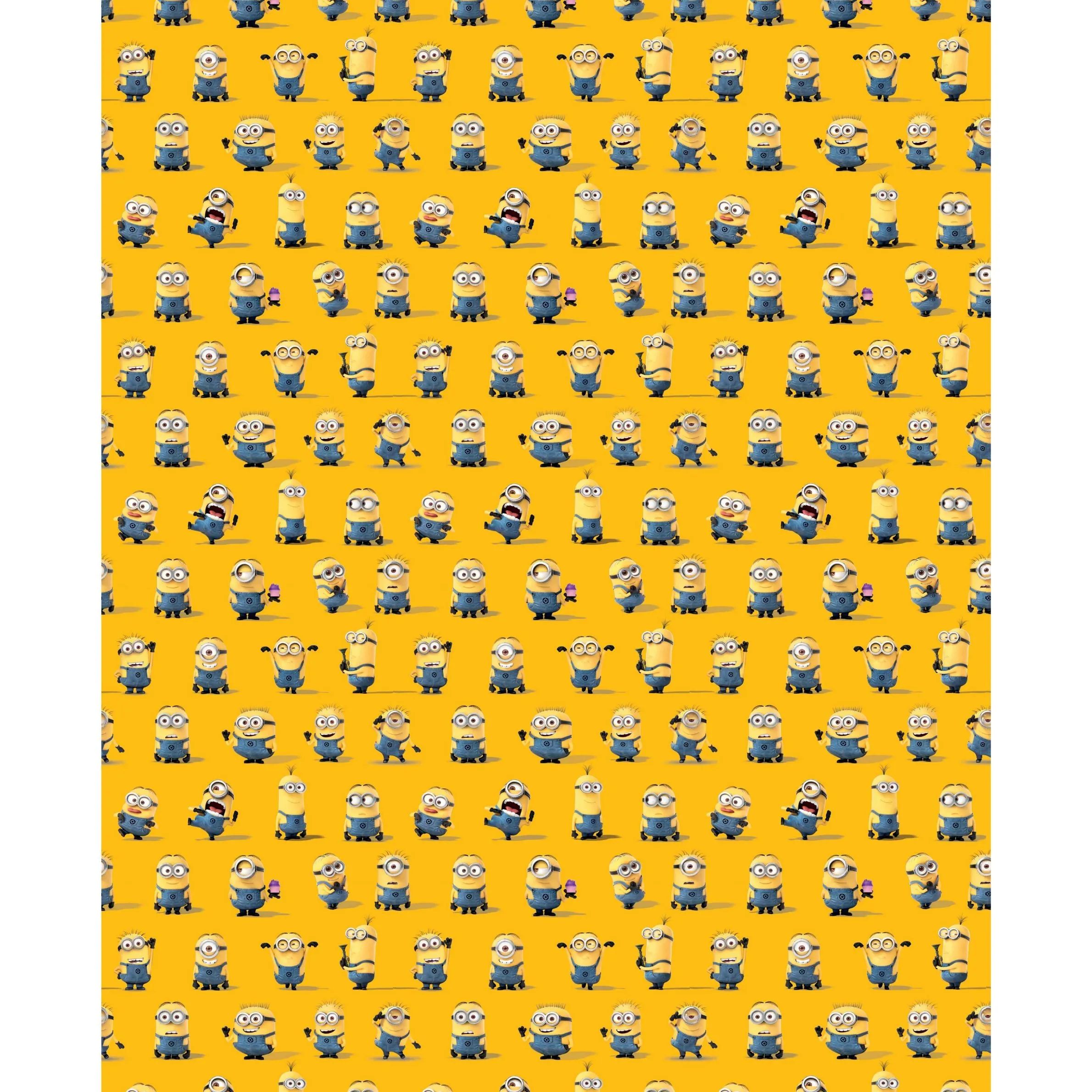 Despicable Me Minions 2m Roll Wrapping Paper