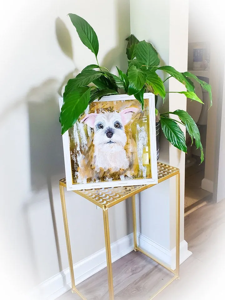 Fancy Gold Pet Portrait 12x12