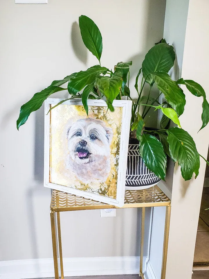 Fancy Gold Pet Portrait 12x12