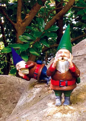 GNOMES CARD