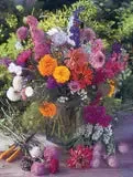 Help Butterflies, Save Earth - Pollinator Wildflower Seed