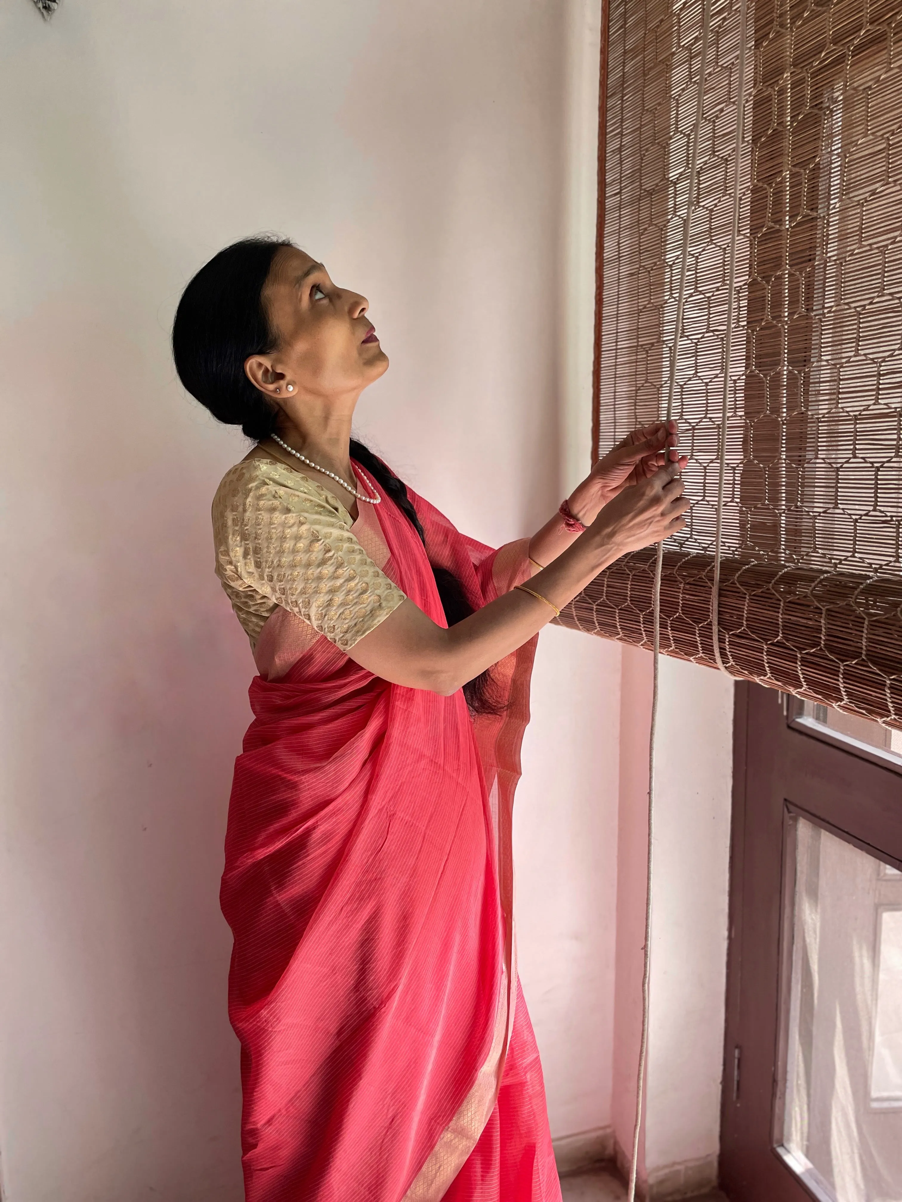 Nazanin Cotton Silk Saree (Final Sale)