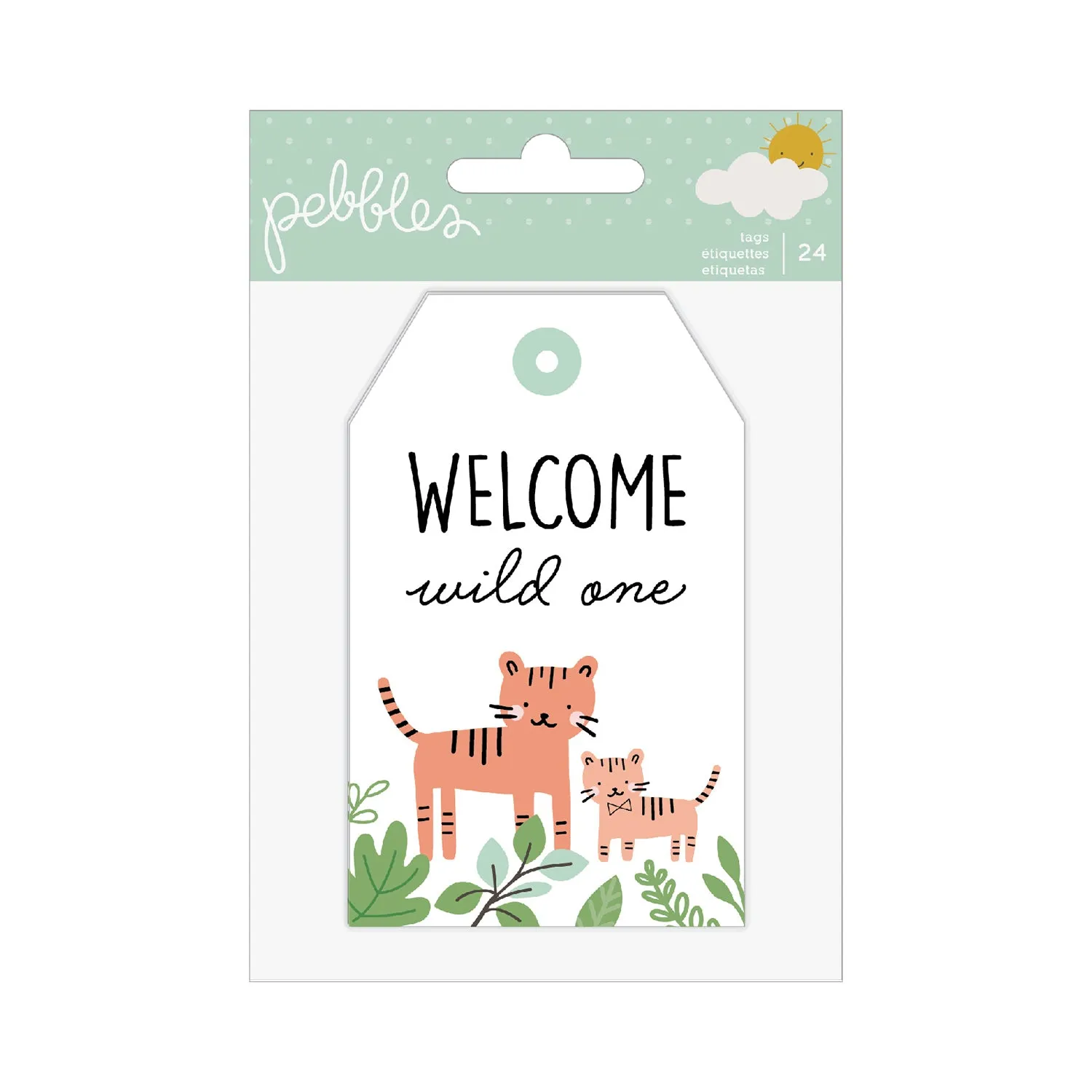 Pebbles - Peek-A-Boo You - Cardstock Tags - Boy*